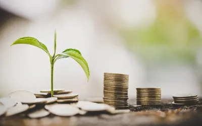 Coins in piles with a little green sprout coming out of a pile.